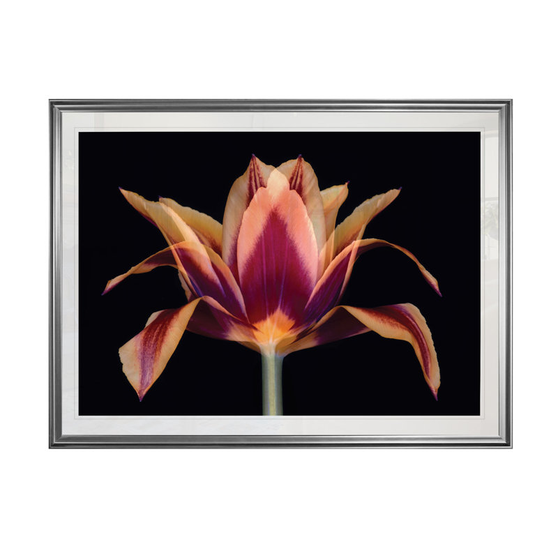 «Red Tulip», reproduction, H 20 po x l 24 po x P 1,5 po, Cadre argenté