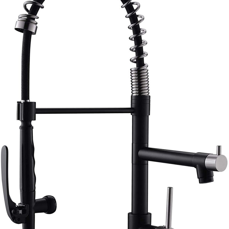 Robinet de cuisine commercial avec douchette extractible et robinet d'évier de cuisine à poignée simple en nickel, Noir