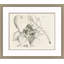 Malaberica Etching III Print