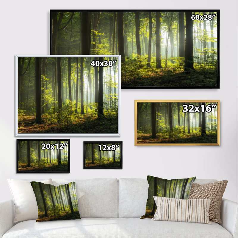 Mystic Morning Forest Sunrise - œuvre d'art sur toile traditionnelle, Cadre noir, H 8 po x l 12 po x P 1 po