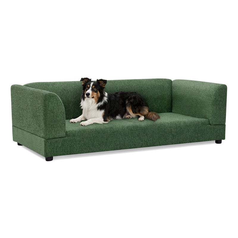 Canapé pour animaux 56 po, Vert olive
