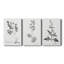 " Botanical Imprint I " 3 - Pieces Painting Print-1136368432
