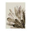 Sepia Plumes I Print by Guseul Park-26760775-26760776