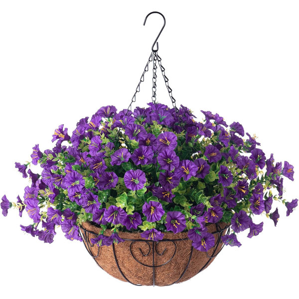 Primrue Hanging Basket Arrangement in Basket | Wayfair