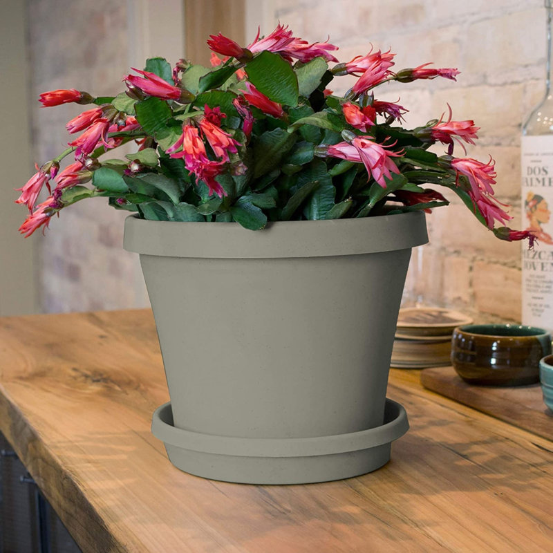 Terra Traditional Plastic Indoor/Outdoor Pot Planter, Pebble Stone, 7.25" H x 8.75" W x 6" D