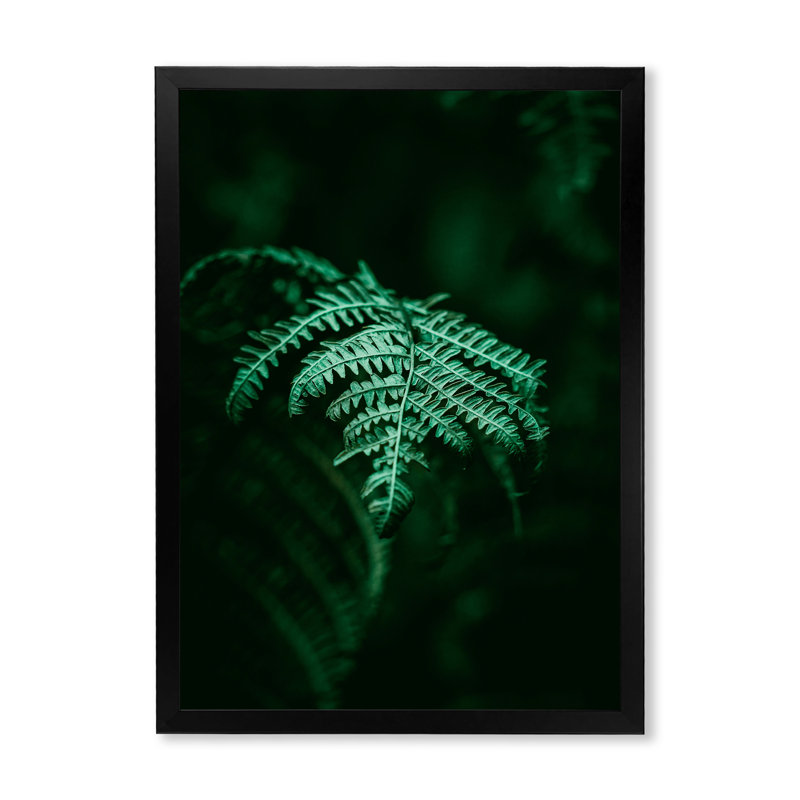 Fougère vert foncé sur fond noir I - reproduction sur toile, H 32 po x l 24 po, Toile avec cadre de coin noir fermé
