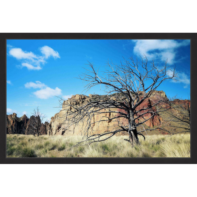 « oregon escape », impression sur toile tendue, H 12 po x l 18 po, Toile tendue