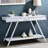 Rectangular Console Table With And Open Storage Function High Gloss Finish Legs