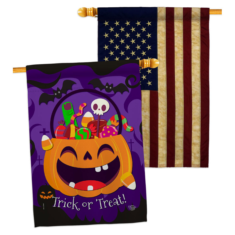 Drapeau de maison en polyester 2 côtés 3 pi 3 po x 2 pi