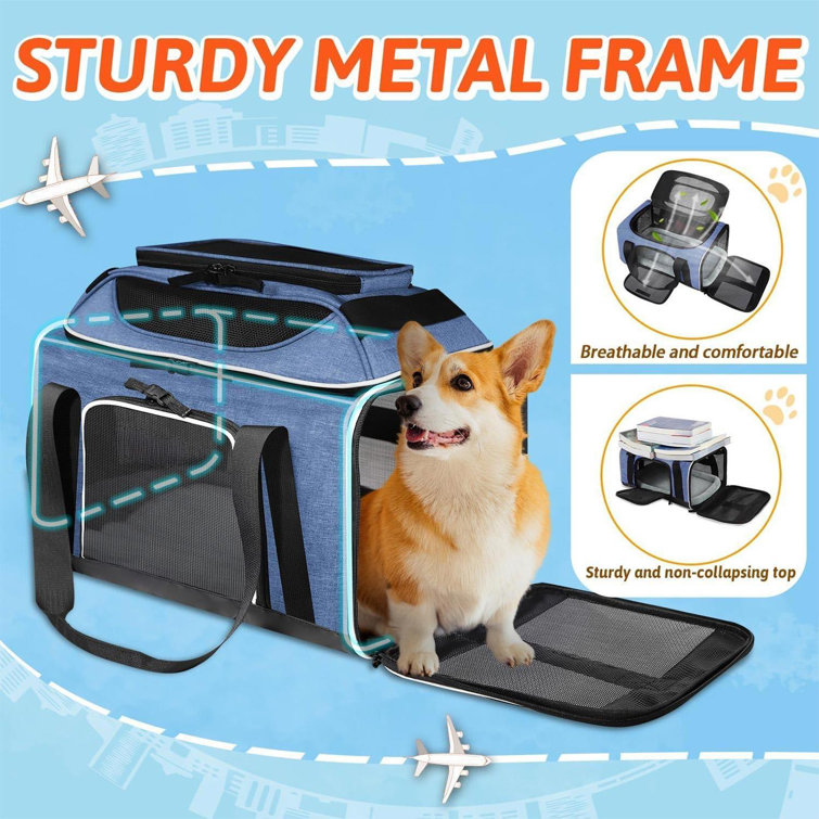 https://assets.wfcdn.com/im/14409172/resize-h755-w755%5Ecompr-r85/2564/256411257/Pet+Carrier+Top-Expandable+Southwest+Airline+Approved%2C+Soft+Small+Dog+Cat+Carrier+For+1-15+LBS+Pets+With+Locking+Safety+Zipper+And+Anti-Scratch+Mesh%28Blue%29.jpg