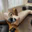 Photos des clients 1 de 1