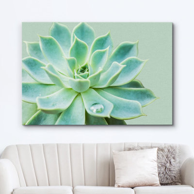 "Plante grasse avec goutte d'eau" sur toile