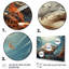 Shark Coastal Guardian, reproduction d'art sur toile-939438378-939438383