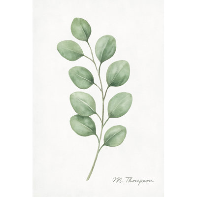 Olive botanique harmonie - art mural sur toile tendue