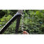 Hammock