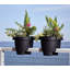 Jardinière ronde en plastique Classic Classic-1137656895-1137656894