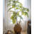 Zayante Pot Planter-1492159577