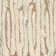 Malone Oatmeal Hand Tufted Wool Rug