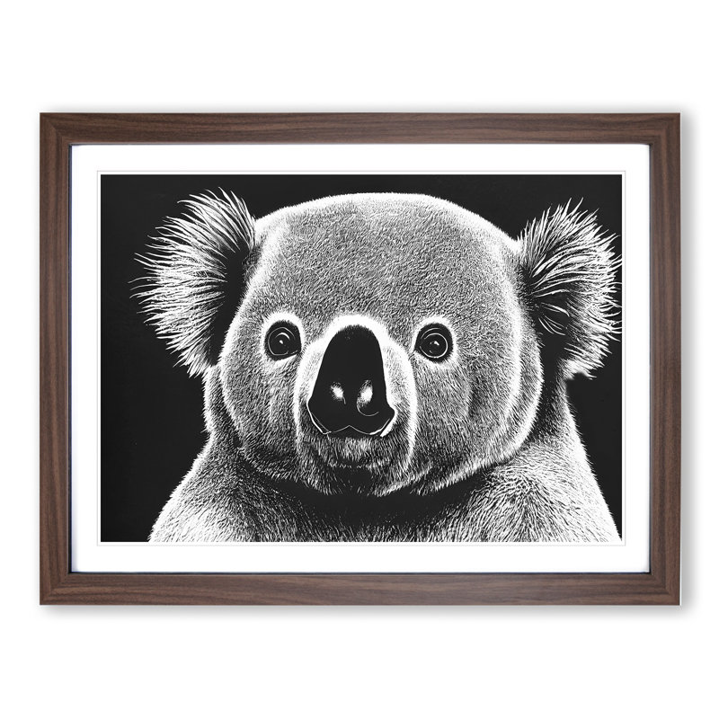 Koala Bear - Framed Print, 46cm H x 64cm W, Walnut Framed