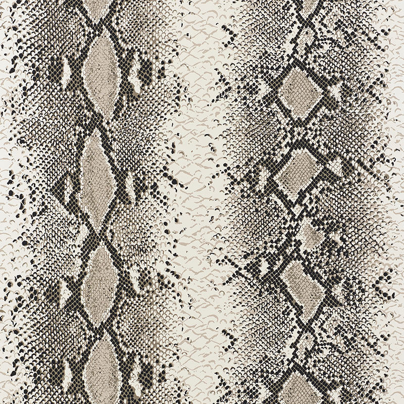 Snake Charmer Wallpaper, Cinder