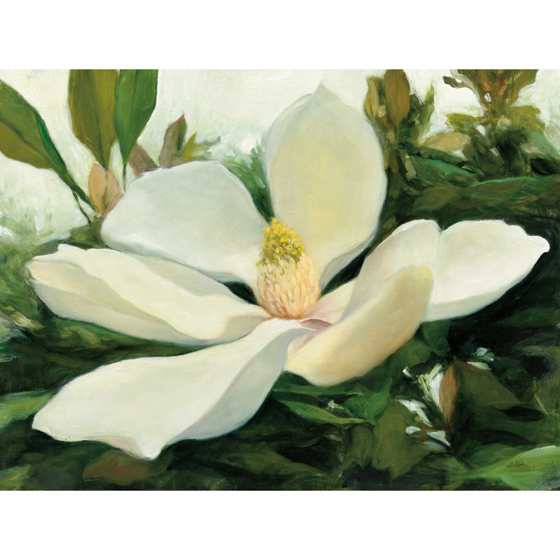 Majestic Magnolia - reproduction sur toile, H 12 po x l 16 po