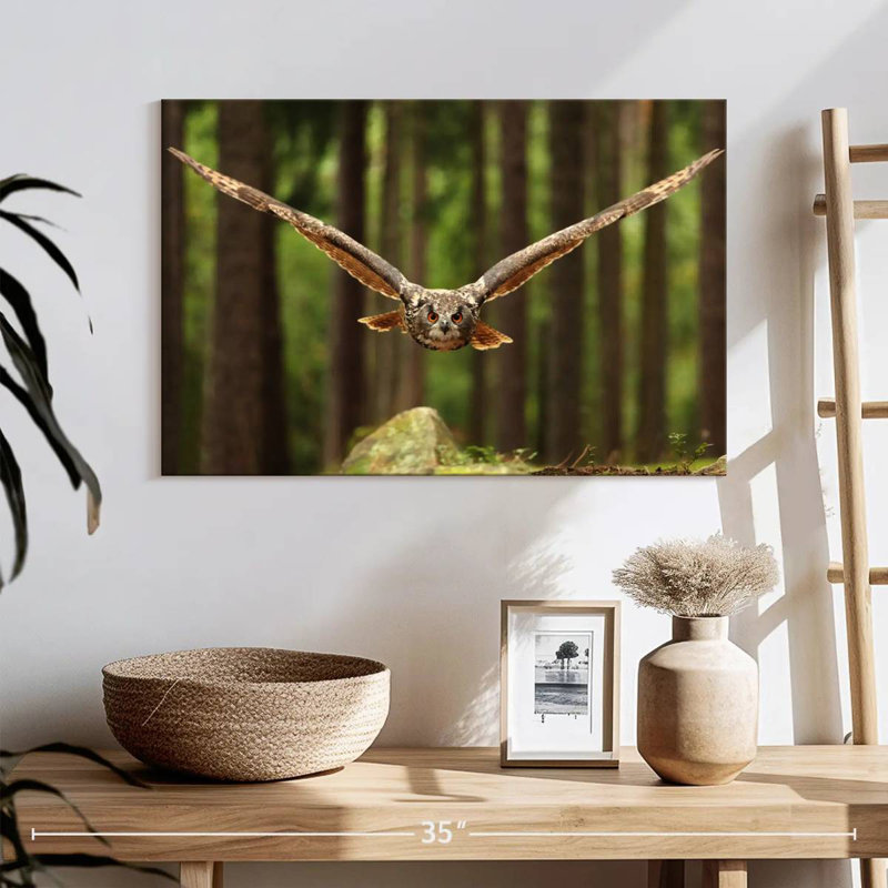 Crowle Eurasian Owl, 16" H x 24" W