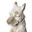 Animals Ceramic / Porcelain Garden Statue