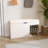 Shoe Storage Bench