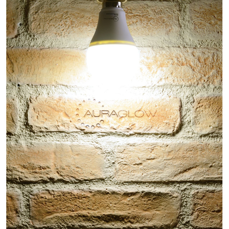 Furey 9W BA22d LED Light Bulb, 6500K