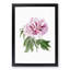 Pink Tree Peony Flower - Picture Frame Painting Print-55601351-55601352