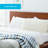 Talalay Latex Medium Pillow