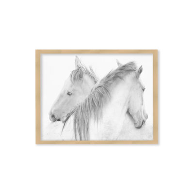 Chevaux - reproduction de photo sur toile
