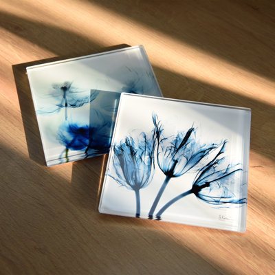Glass Square 12 Piece Coaster Set
