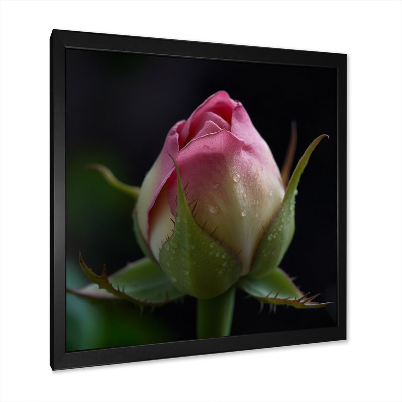 «Delicate Pink Rose Bud Iin the Early Morning», reproduction sur toile, H 30 po x l 30 po x P 1 po, Cadre simple noir