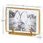 Cassidy Gold Metal Gilded Picture Frame - Set of 2