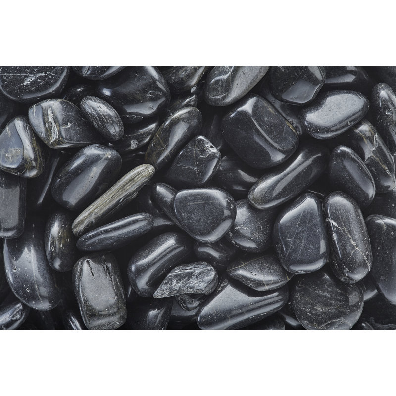 Landscape & Nature Vase Filler, Black