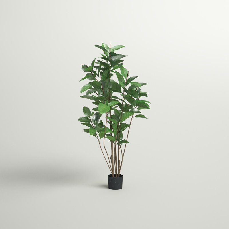 Arbre en pot de caoutchouc
