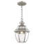 Alexavier Outdoor Hanging Lantern-529880550