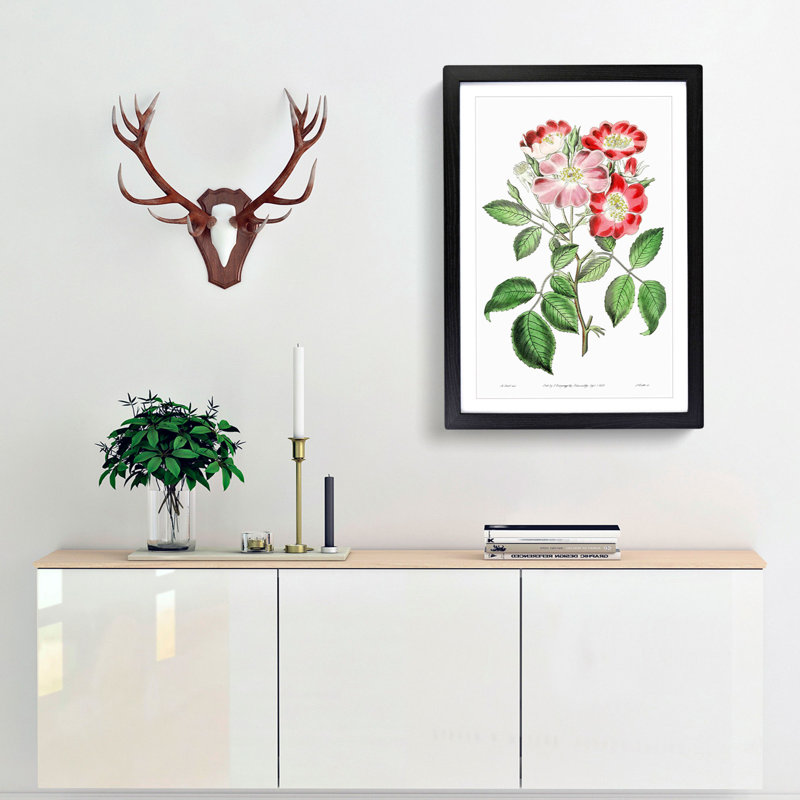 Pink Rose Clare Flowers - Framed Print, 36cm H x 27cm W x 2cm D, Black Framed