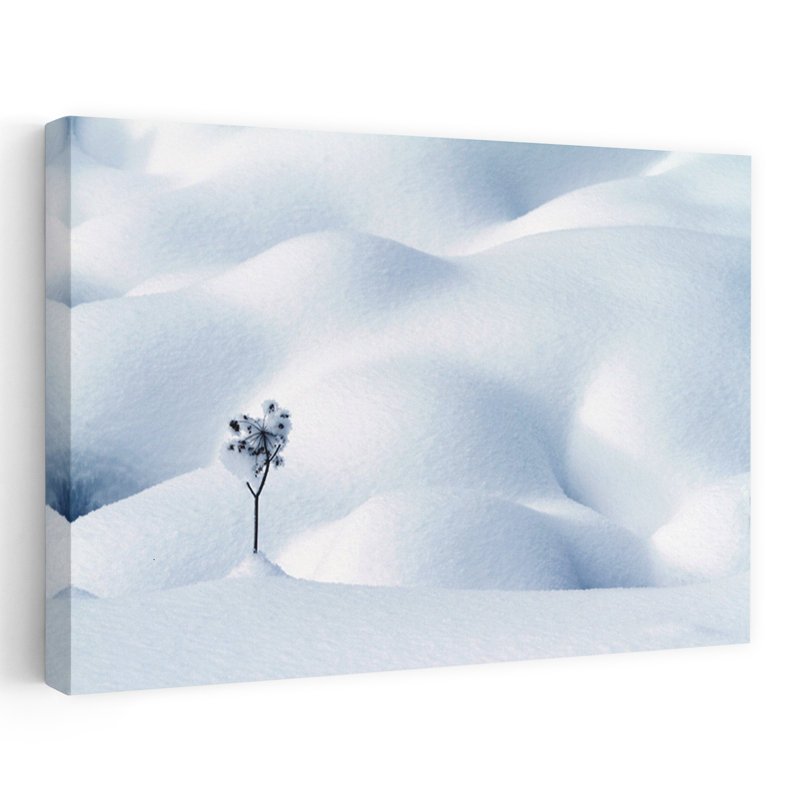 Art contemporain contemporain fleur d'hiver, H 8 po x l 12 po