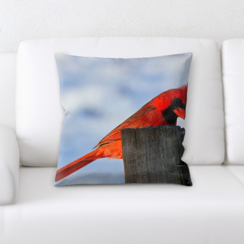 Coussin oiseau