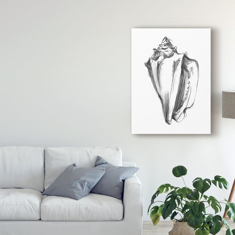 Croquis de coquille I par Ethan Harper - reproduction d'art sur toile, H 19 po x l 14 po x P 2 po