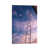 Wrapped Canvas