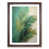 Walnut Framed