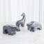 Les Animaux-Cheval-72231651