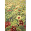 Wool And Silk Nepal One-of-a-Kind Rectangle 9' X 12' Area Rug