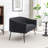 Upholstered Faux Fur Loveseat-1108305445-1108305443
