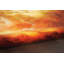 Tapis rouge Edite-1618517897