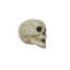 6cm Foam Finial Ornament