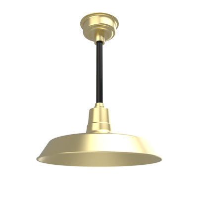 Luminaire suspendu en forme de dôme à 1 lumière DEL Haleigh